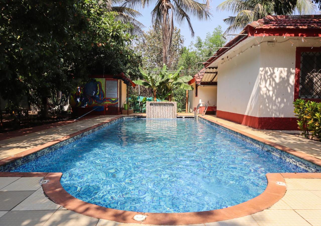 Misty Courtyard By Spicy Mango Karjat