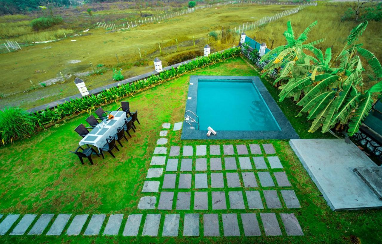Spicy Mango Insam - Hill View In