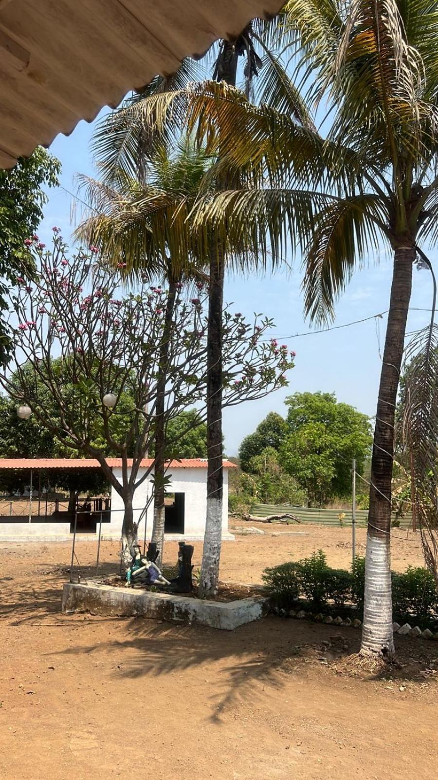 Mangal Tara & Resort